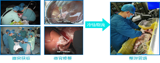 高仿真腔镜手术训练系统，聚焦人才培养，提升腔镜技能