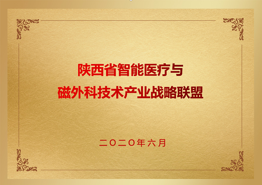 陕西省智能医疗与磁外科技术产业战略联盟